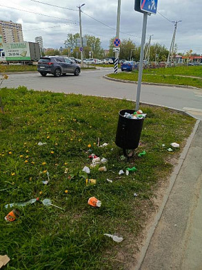 Более месяца не убирают Московский микрорайон в Иванове